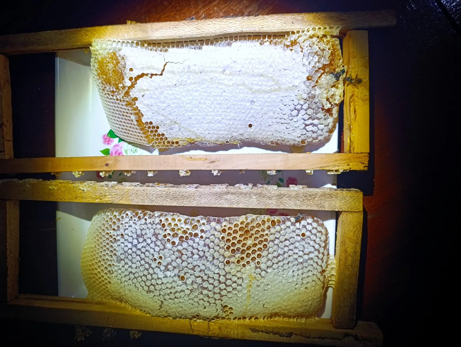 Honeycomb